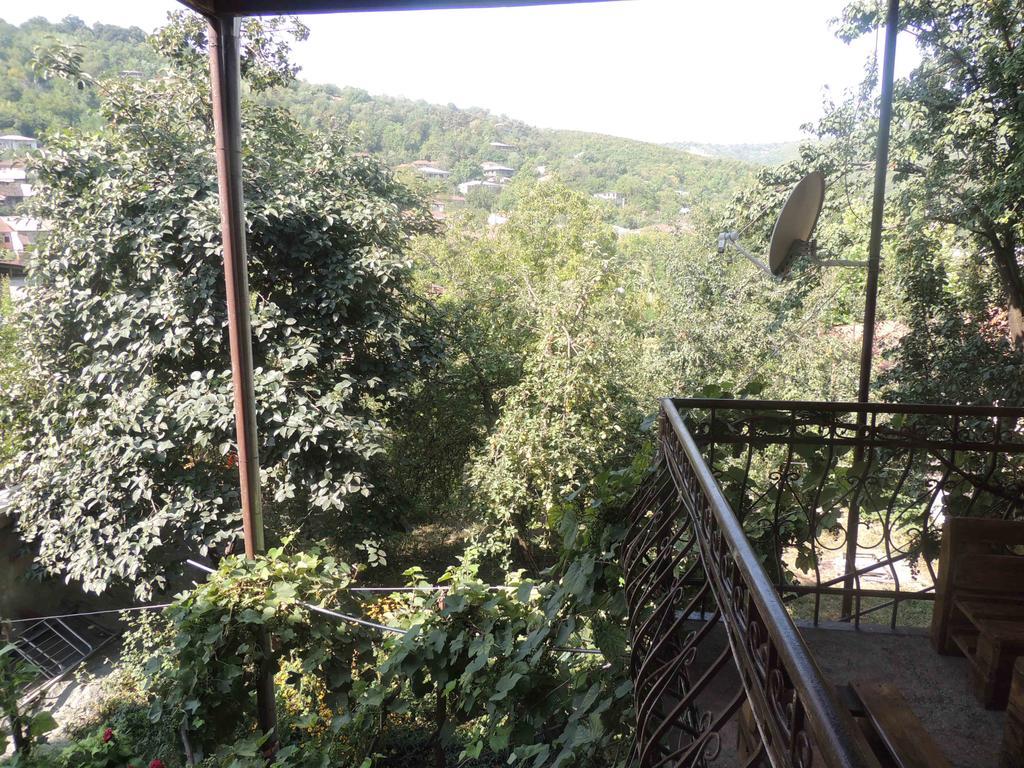 Guest House Chirina Sighnaghi Luaran gambar